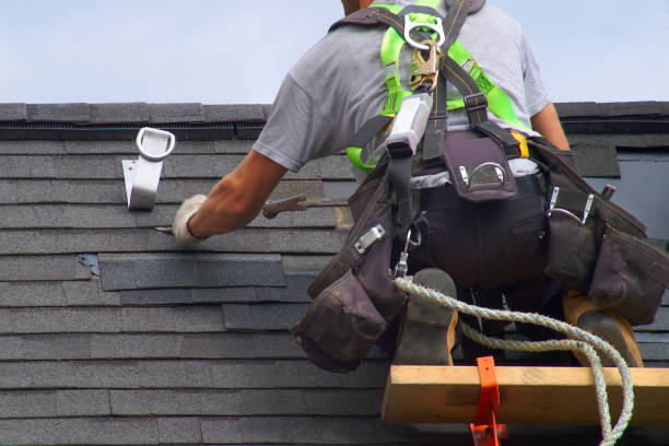 Best Roof Maintenance Services  in Occoquan, VA
